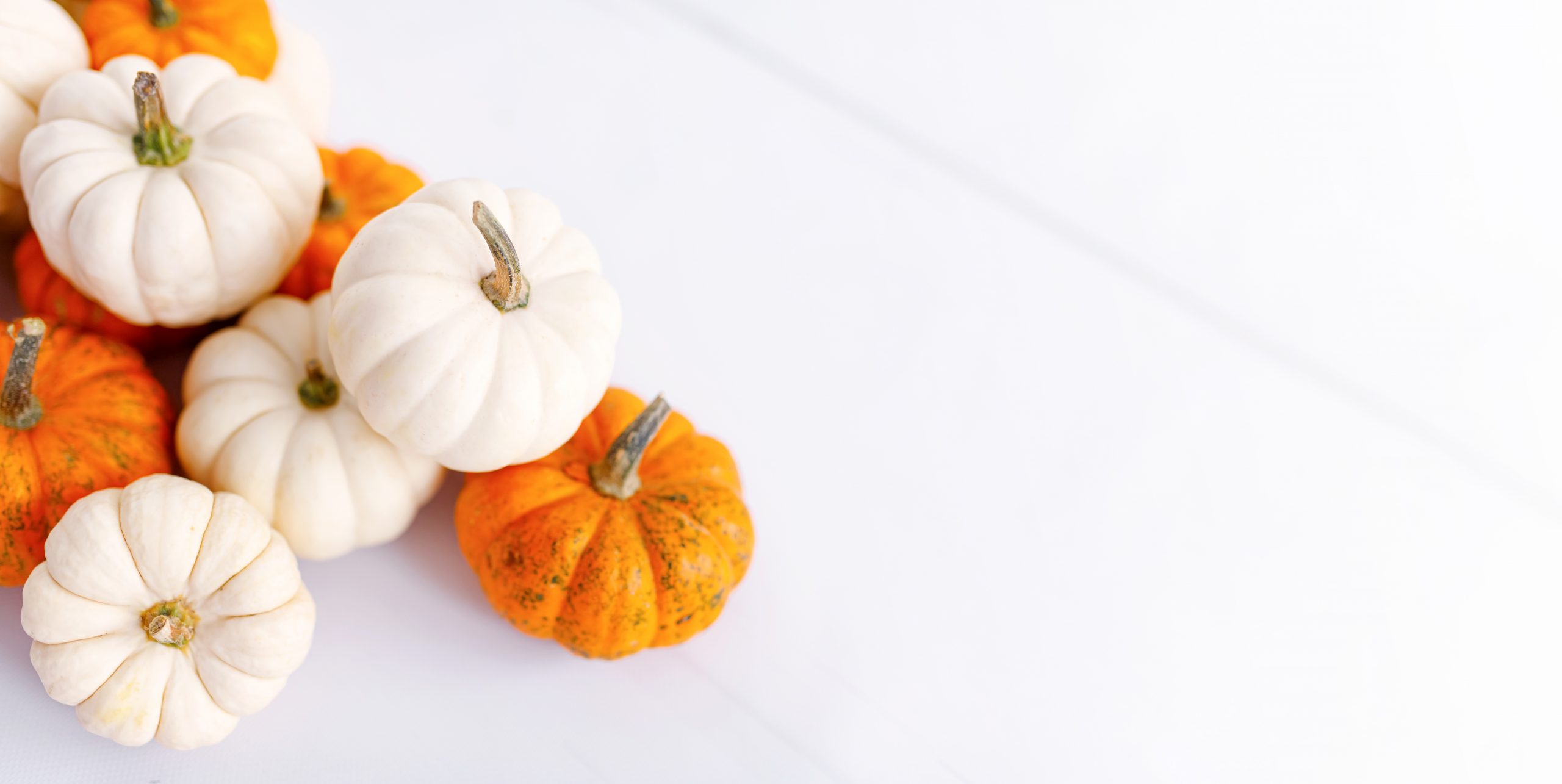 Autumn decoration on white with copy space. Fall, halloween, thanksgiving banner